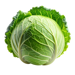 Fresh green cabbage head isolated on a white background for healthy salad ingredient