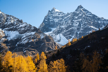 mount cook national park