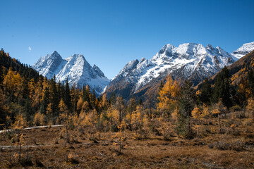 autumn in the mountains