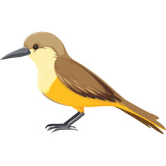 Illustration Of A Small Brown And Yellow Bird Standing On A Transparent Background In A Profile View With Detailed Feathers And Beak