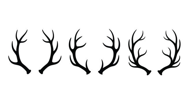 a row of black antlers against white background