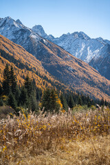 autumn landscape in the mountains
