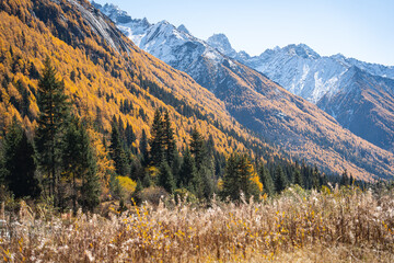 autumn landscape in the mountains