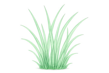 Fototapeta premium Green grass plant forming a natural tuft, fresh lawn blades illustrating spring and nature greenery, transparent background