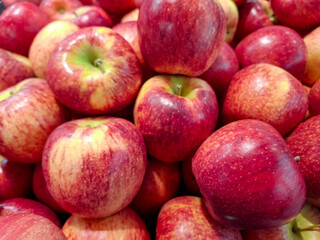 a large pile of fresh Fuji apples, showcasing their glossy, mottled red and yellow-green skins. 