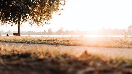 blurred. Tranquil park at sunset with warm golden hues, creating a peaceful natural landscape. inspiring travel planning, travel magazines, designed for travel destination branding.