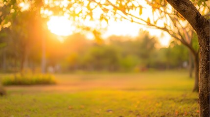 blurred. Tranquil park at sunset with warm golden hues, creating a peaceful natural landscape. inspiring travel planning, travel magazines, designed for travel destination branding.