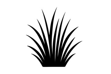 Fototapeta premium Black grass silhouette illustration with transparent background, nature elements, lawn, yard, plant design