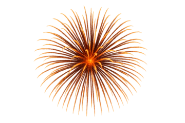 Orange Bursting Fireworks Explosion on White