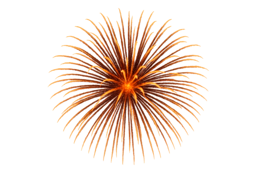 Orange Bursting Fireworks Explosion on White