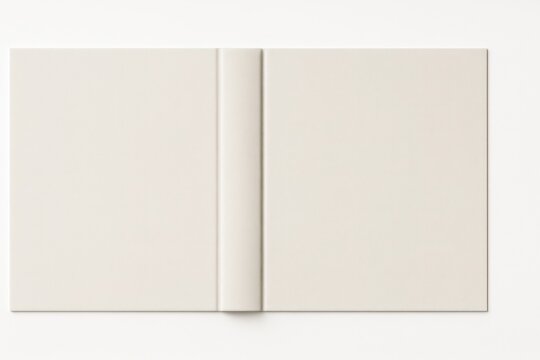 Front and back book cover dust jacket laid flat showing full spread and spine alignment on white