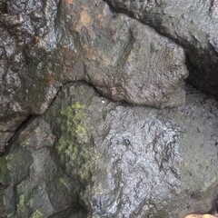 Dark Gray Rock with Green Moss and Water Droplets Close Up