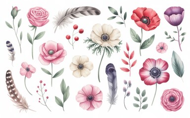 Watercolour Botanical Elements with Flowers Feathers and Berries Keywords: watercolour