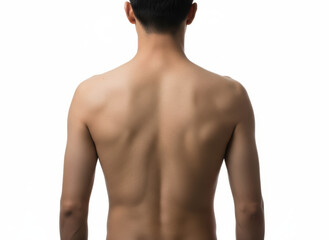 Fototapeta premium Male back, bare skin, muscle, posture, pain area highlight for medical care focus