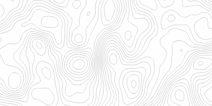 seamless pattern and topography map and counter map. abstract sea map area space geometrics line technology topo landscape grid map texture.