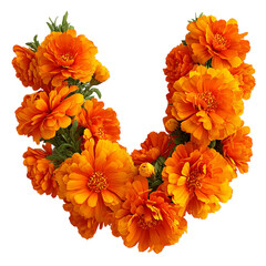 Orange marigold flowers arranged in a curved shape against a black background in a floral display
