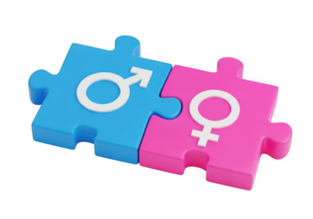 Gender symbols on interlocking puzzle pieces representing relationship and equality. isolated on transparent background