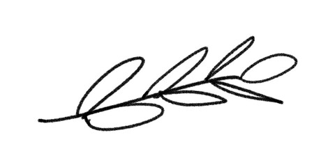 Fototapeta premium Black ink brush scribble line drawing. Flat design element for grunge texture background. Suitable for modern graphic compositions, backgrounds, artistic overlays, or design accents. 