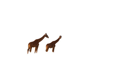 Fototapeta premium Cute baby giraffe illustration vector character on a white background, in the snow, and in the woods, highlighting its long neck and wild nature