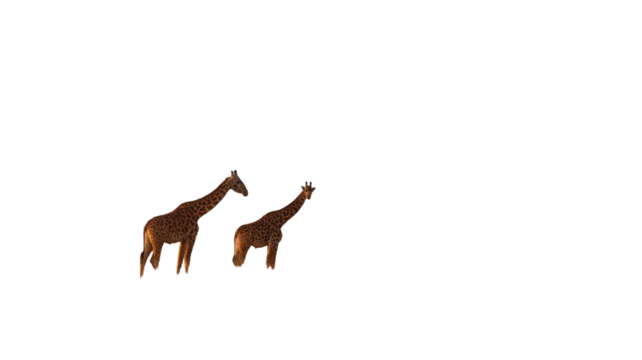 Cute baby giraffe illustration vector character on a white background, in the snow, and in the woods, highlighting its long neck and wild nature