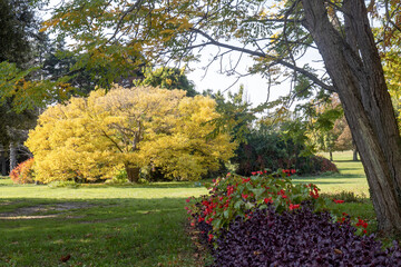 Autumn landscapes in the Varna Botanical Garden (Bulgaria)
