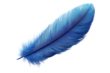 Ethereal Blue Feather Art Macro Detail of Elegant Plume on Black Backdrop Dreamy Texture Beauty