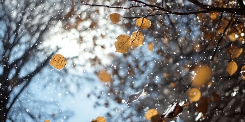 Autumn leaves falling in light snowfall