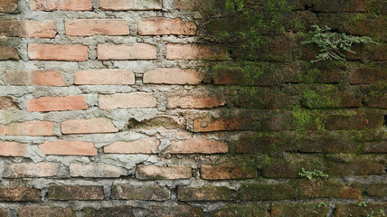 Old brick wall covered in green moss and small plants, evoking a natural and damp atmosphere