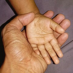 Fototapeta premium Child's Hand Resting in Adult's Palm Care and Protection