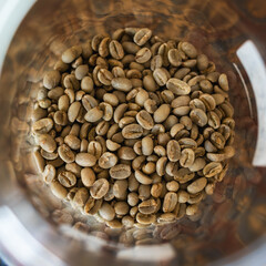 コーヒーの生豆