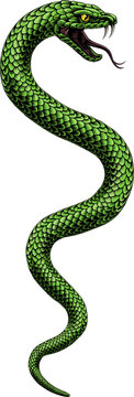 Snake coiled serpent, original illustration in a vintage woodcut engraving etching style.