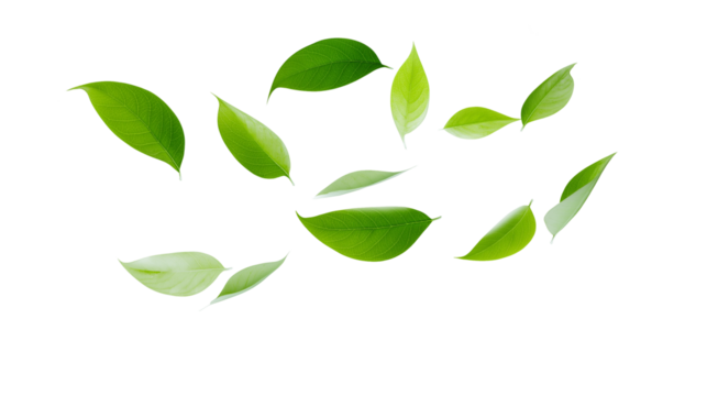 Green leaves on black. Versatile background for ecological, natural, autumn, or botanical designs. Suitable for websites, branding, and social media.