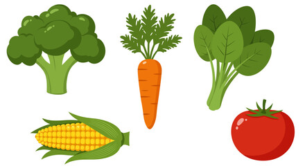 Collection of Fresh Vegetables Isolated on White Background.