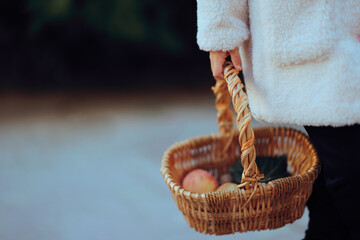 Romanian Child Caroling Holding a Basket of Apples and Nuts. Custom from national folklore on the first day of the year in Romania