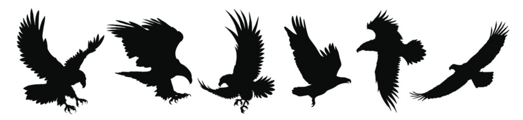 Set of flying eagle silhouettes pieces