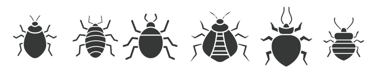 Bed Bug vector illustration