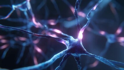Close up of nerve cells transmitting signals in the brain, 3d render - Powered by Adobe
