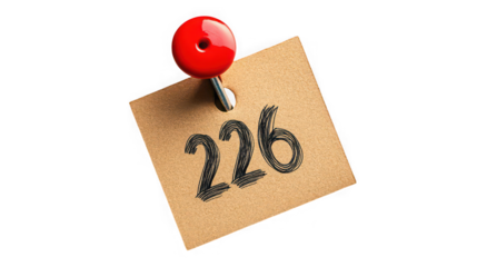 This image features a small, rectangular piece of brown, textured paper resembling kraft paper, pinned to an invisible surface by a large, glossy red push pin or thumb tack. The number "206" is promin