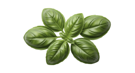 Fresh Basil Leaves on a Green Background with Glowing Edges for Culinary