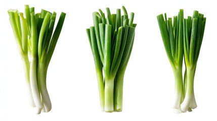 Three bunches of fresh green onions, isolated on white background