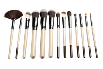 Set of Professional Makeup Brushes Collection