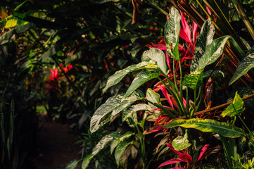 Fototapety na wymiar - Fototapeta24.pl