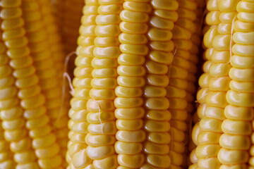 Naklejka premium Full frame shot of fresh sweet corn seed peeled