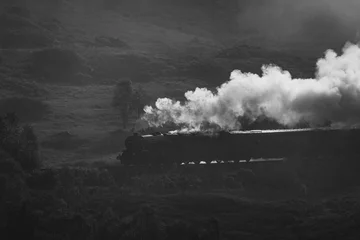 Wandcirkels Glenfinnanviaduct The Jacobite Train in black and white  © Cavan