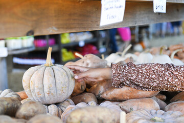 “A seasonal touch — picking the perfect pumpkin at the fall
