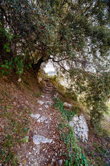 Shaded Stone Steps Ascent Vall de Laguart