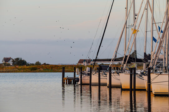 Sailboats and Waterfront Houses in Heiligenhafen Marina, Germany