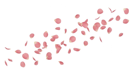 Soft pink flower petal confetti scattered across a white background, creating a romantic and delicate atmosphere suitable for celebration and special