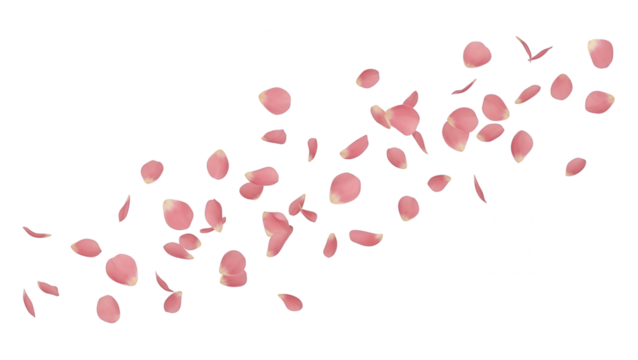 Soft pink flower petal confetti scattered across a white background, creating a romantic and delicate atmosphere suitable for celebration and special