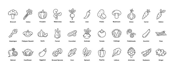 Collection of vegetable icons in line art style with editable stroke